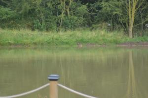 Lapwing Lodge