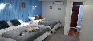 Hostal 1009 Valdivia