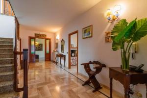 The Rosas Luxury House