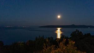 Villa Bora Mošćenička Draga Bed&Breakfast 