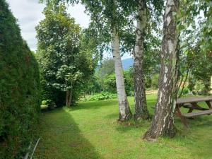 Maisons de vacances Maisonnette a la campagne Ariege : photos des chambres