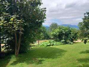 Maisons de vacances Maisonnette a la campagne Ariege : photos des chambres