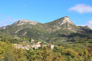 Appartements Le Vieil Olivier : photos des chambres