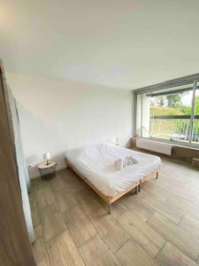 Appartements Studio a 15mn de Colmar - parking gratuit - balcon : photos des chambres