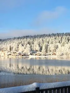 Fleur d'eau - 蓬塔利耶