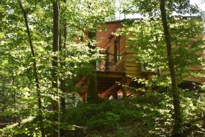 La cabane aux écureuils