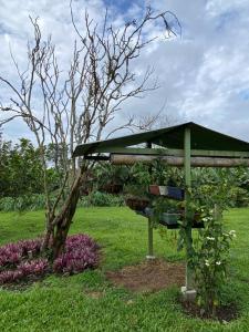 Mi Casita Campersite