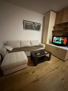 Lux Apartment Oasis
