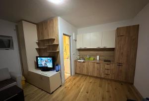 Lux Apartment Oasis