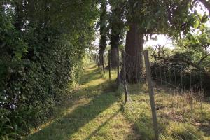 Au pied du frĂȘne