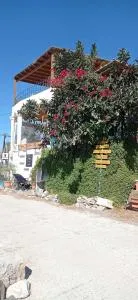 Lentas Royal - Andiskárion