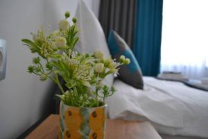 Modern City Center 2 Bedroom Apartment