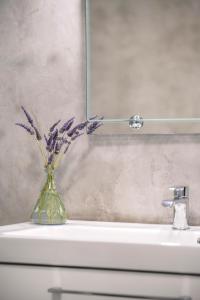 Petrina Volia - Residence Anemos