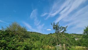 Zum Stuxblick