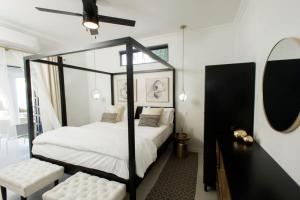 Dunn Dreamin Barbados