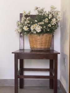 Baia delle foche img10