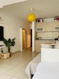 Studio apartment Dobrota