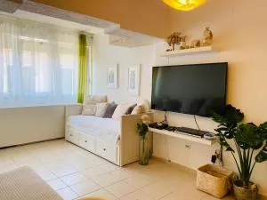 Studio apartment Dobrota - Radimiri