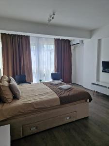 Kamche apartment