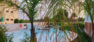 Kentia golf Playa Granada