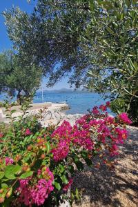 Apartments by the sea Zuronja, Peljesac - 13202