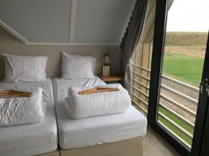 Villa Oesterdam Deluxe Sleeps 8