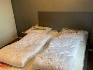 Comfort chalet on a recreational lake