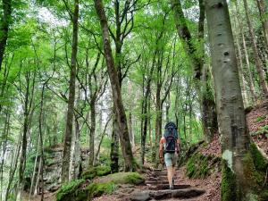 Apartment in Luxembourg City Center