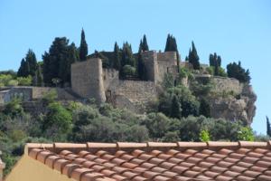 Appartements Plein Sud : photos des chambres