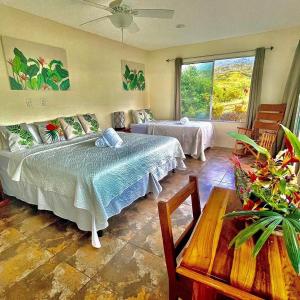 Hotel Finca 360