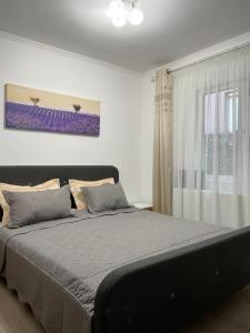 Casa cu curte Navodari