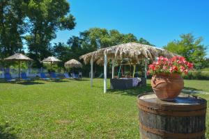 Giannis and Fridas Garden Corfu Greece