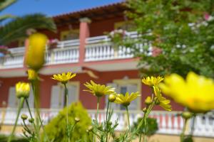 Giannis and Fridas Garden Corfu Greece