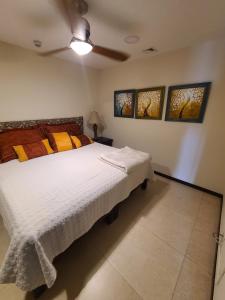 Peninsula Condominiums, Hotel Zone, PV