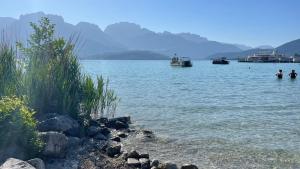 Appartements Le Chalet de la Plage : Studio avec Vue sur Lac