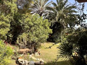 Cala Pira beach house img18