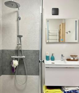 Refurnished Apartment in Rucava