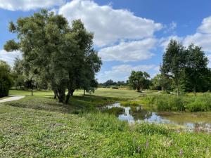 Maisons de vacances Le grand Moulin : photos des chambres