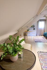 Appartements Le Clos des Ecureuils : photos des chambres