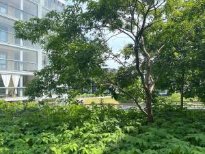 Tilava yksiö 35,5 m2 merenrannalla