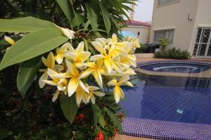 BUTTERFLY GARDEN BOUTIQUE RESIDENCES Apts and villas, A Lifestyle Destination Ex Lg 1-3 bedroom units , Full kitchen, 2 Full bathrooms, Rain shower, Spa bath, FREE BBQ, Free fast fiber optic WIFI, Staff 24-7