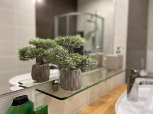 Old Town Modern Apartment