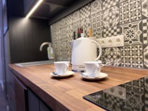 Old Town Modern Apartment