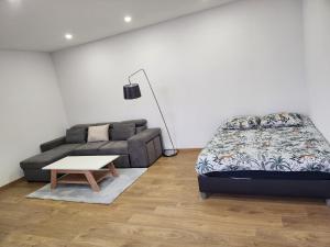 Appartements Joli Studio cosy : photos des chambres