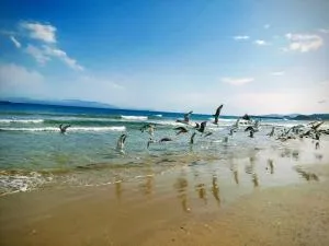 Ghougine Serenity Residence - Melîyech