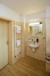 Double Room room in Hotel Litovel