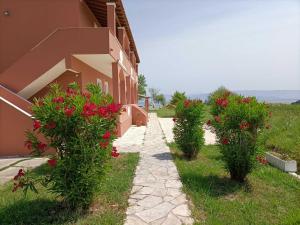 Melador beachfront studios