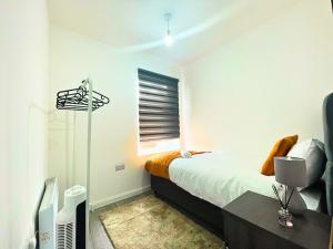 Entire 2 Bedroom Flat Leicester DMU - LT Flat 2