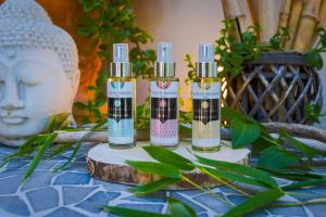 Hotels La Villa Vicha, The Originals Relais : photos des chambres