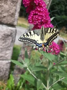 Domaine de Feix - Combressol